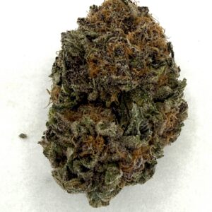 Rock Star | Flower