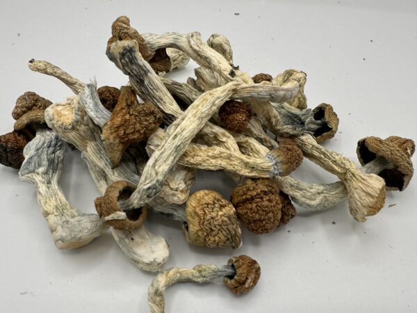 Psilocybin Mushrooms | Trinity 28G