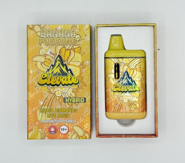 Elevate | Dab Pen | Banana Pudding | 2G