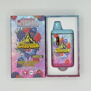 Elevate | Dab Pen | Berry Blizzard | 2G