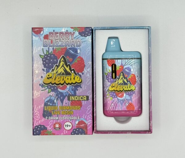 Elevate | Dab Pen | Berry Blizzard | 2G