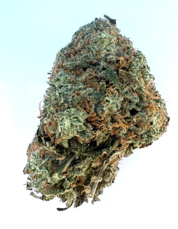 Donkey Butter | Flower