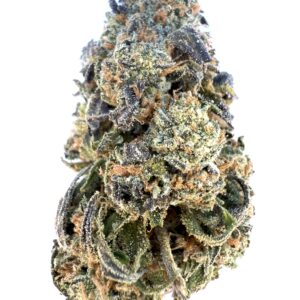 Red Runitz | Flower