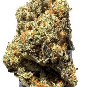 Northern Lights | Flower
