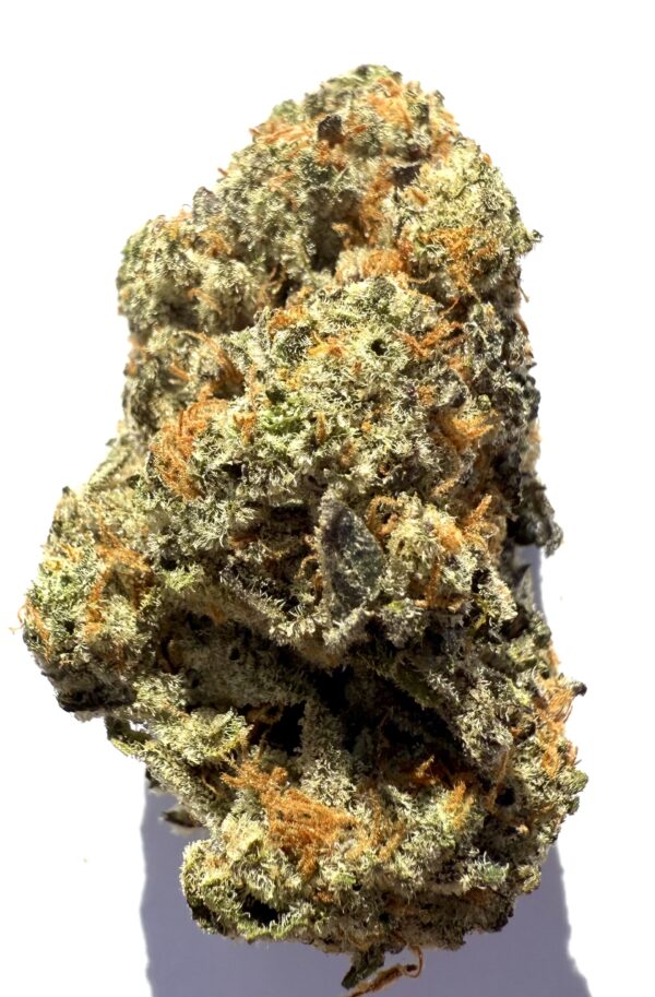 Northern Lights | Flower