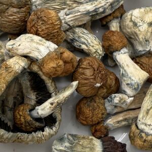 Psilocybin Mushrooms | Trinity 28G