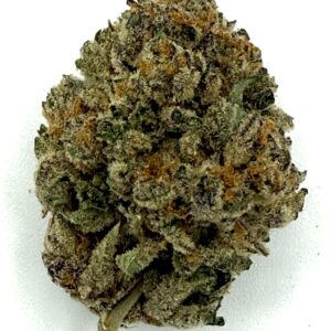 Skunk #1 | Flower