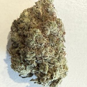 Purple Afgani | Flower
