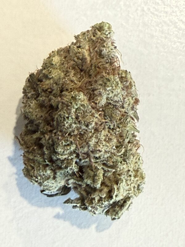 Purple Afgani | Flower