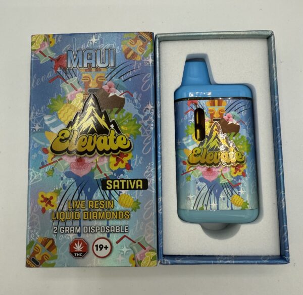 Elevate | Dab Pen | Maui | 2G