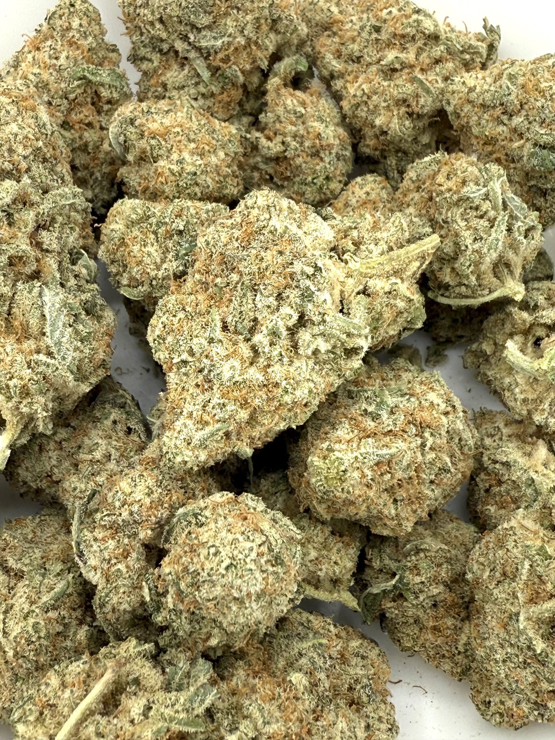 MC1 | Flower - Image 2