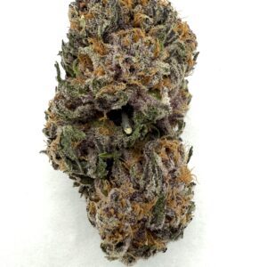 Island Pink | Flower