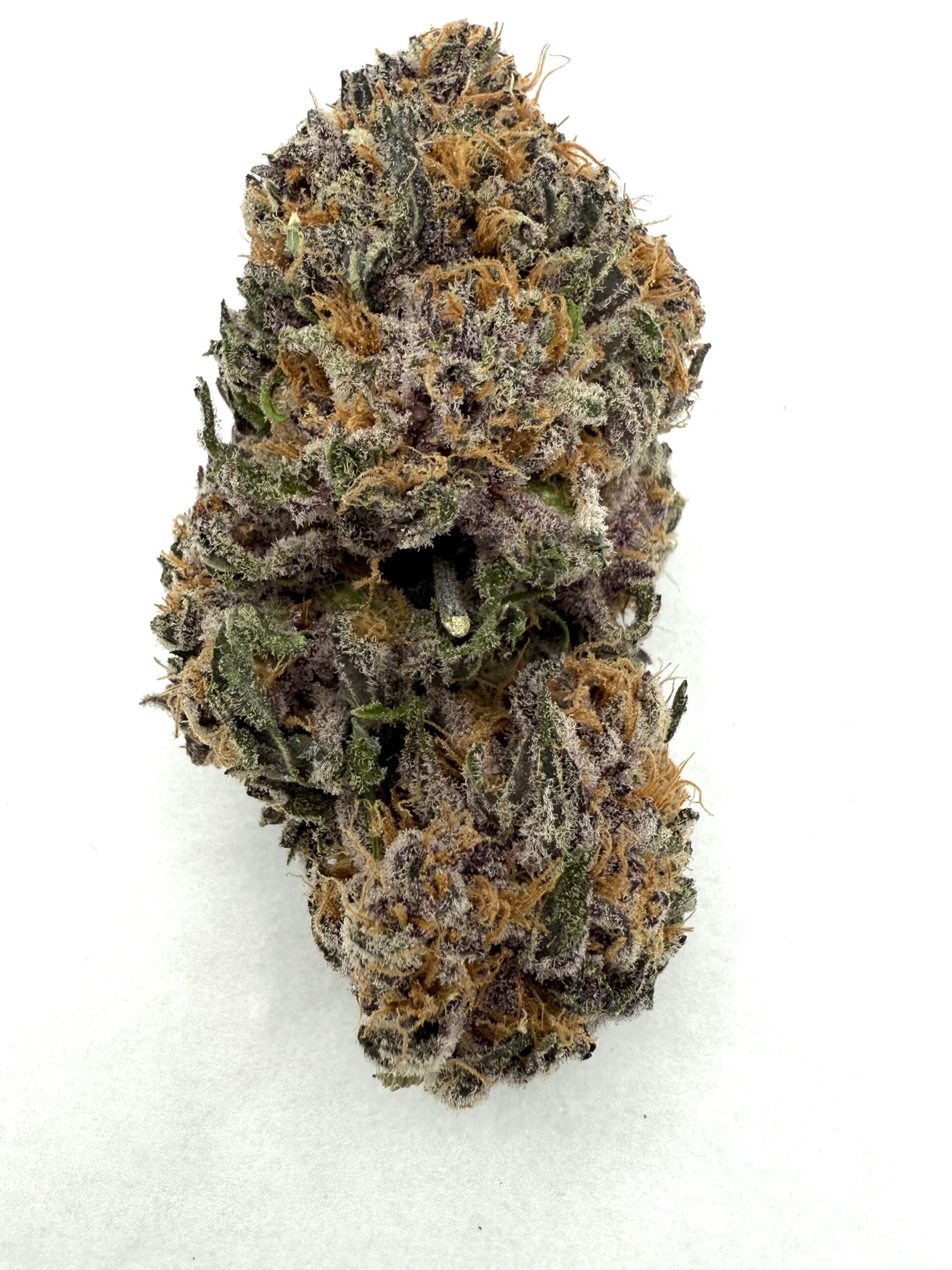 Island Pink | Flower