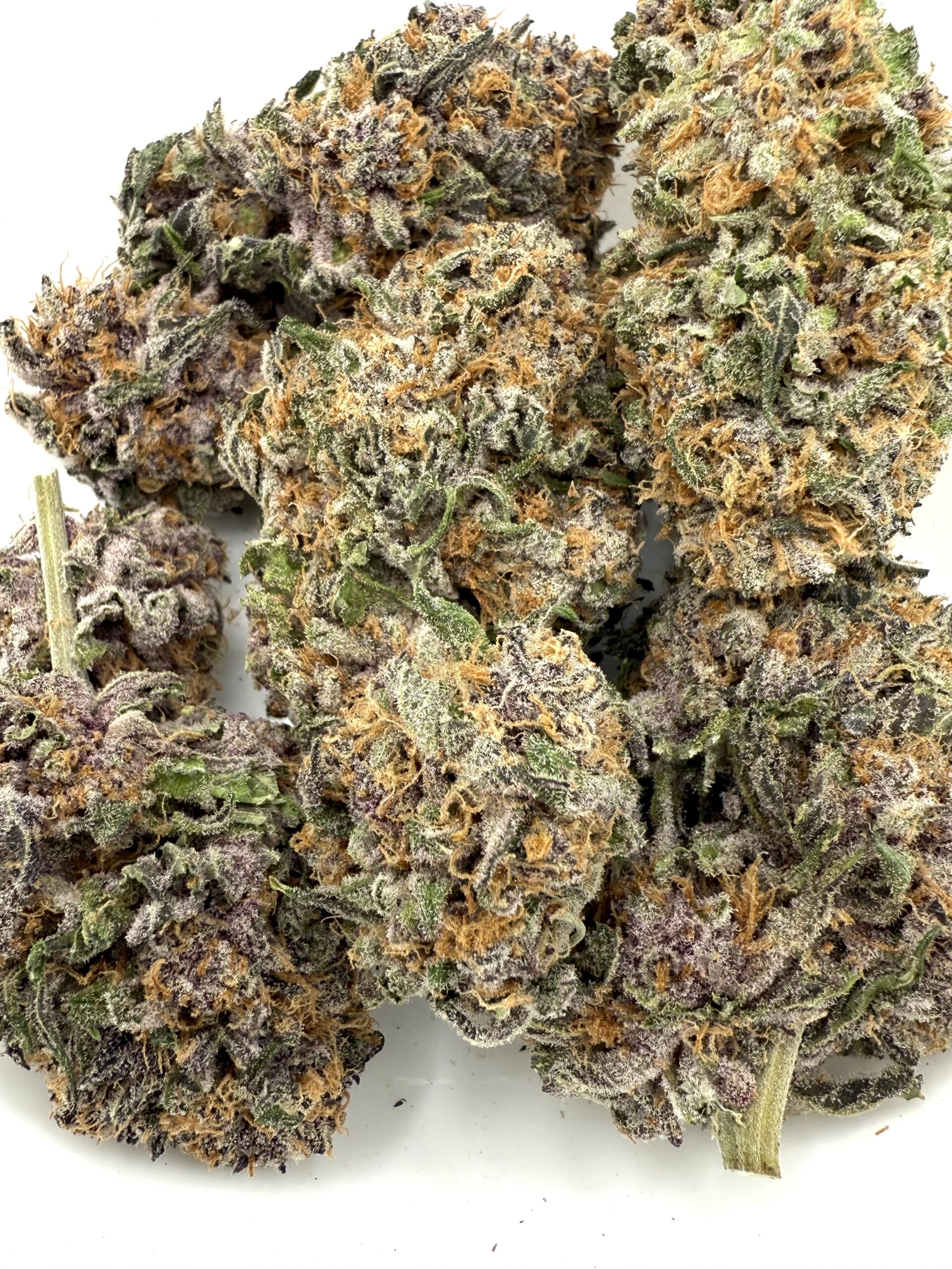 Island Pink | Flower - Image 2