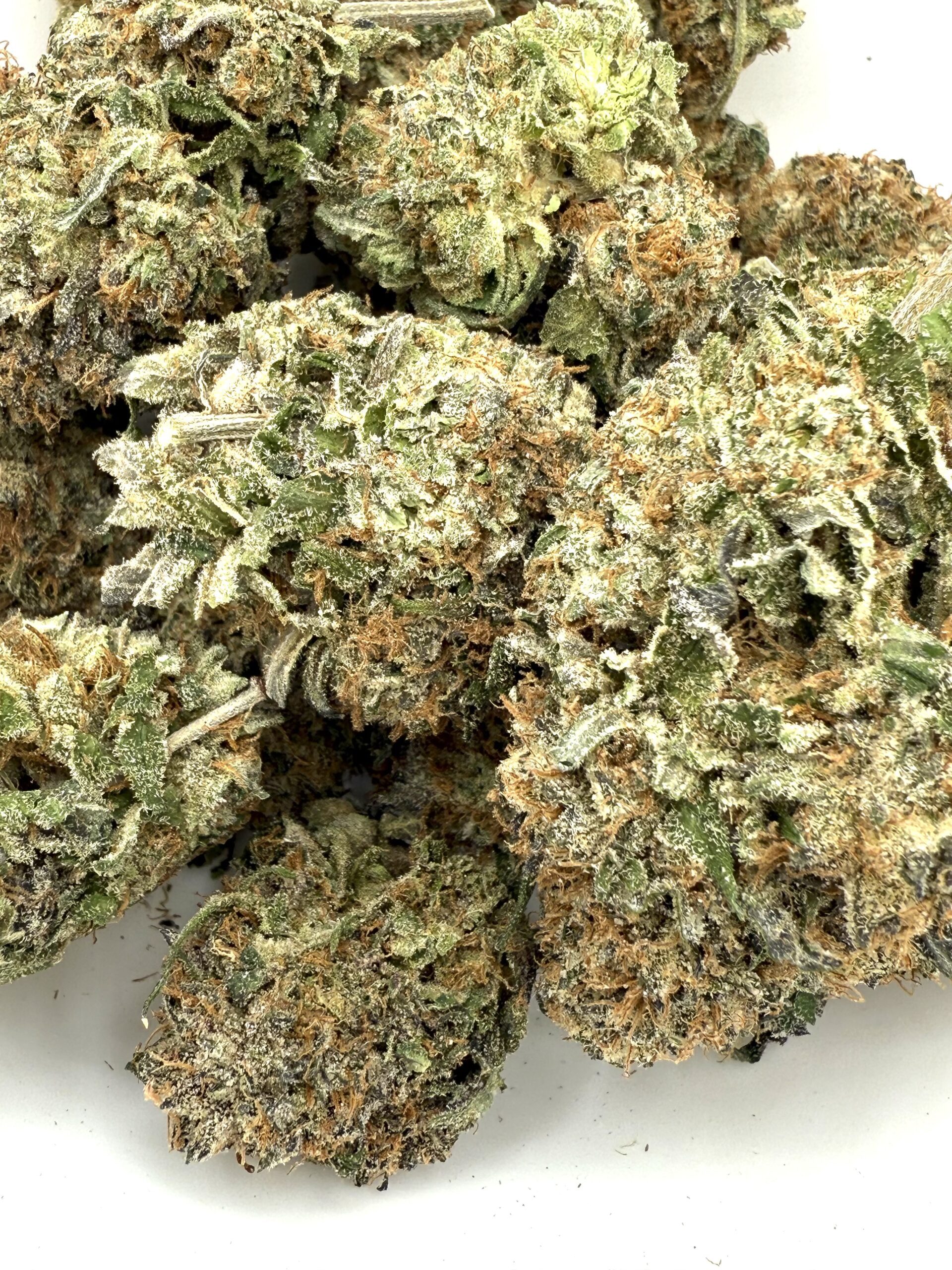 Mac Furry | Flower - Image 2