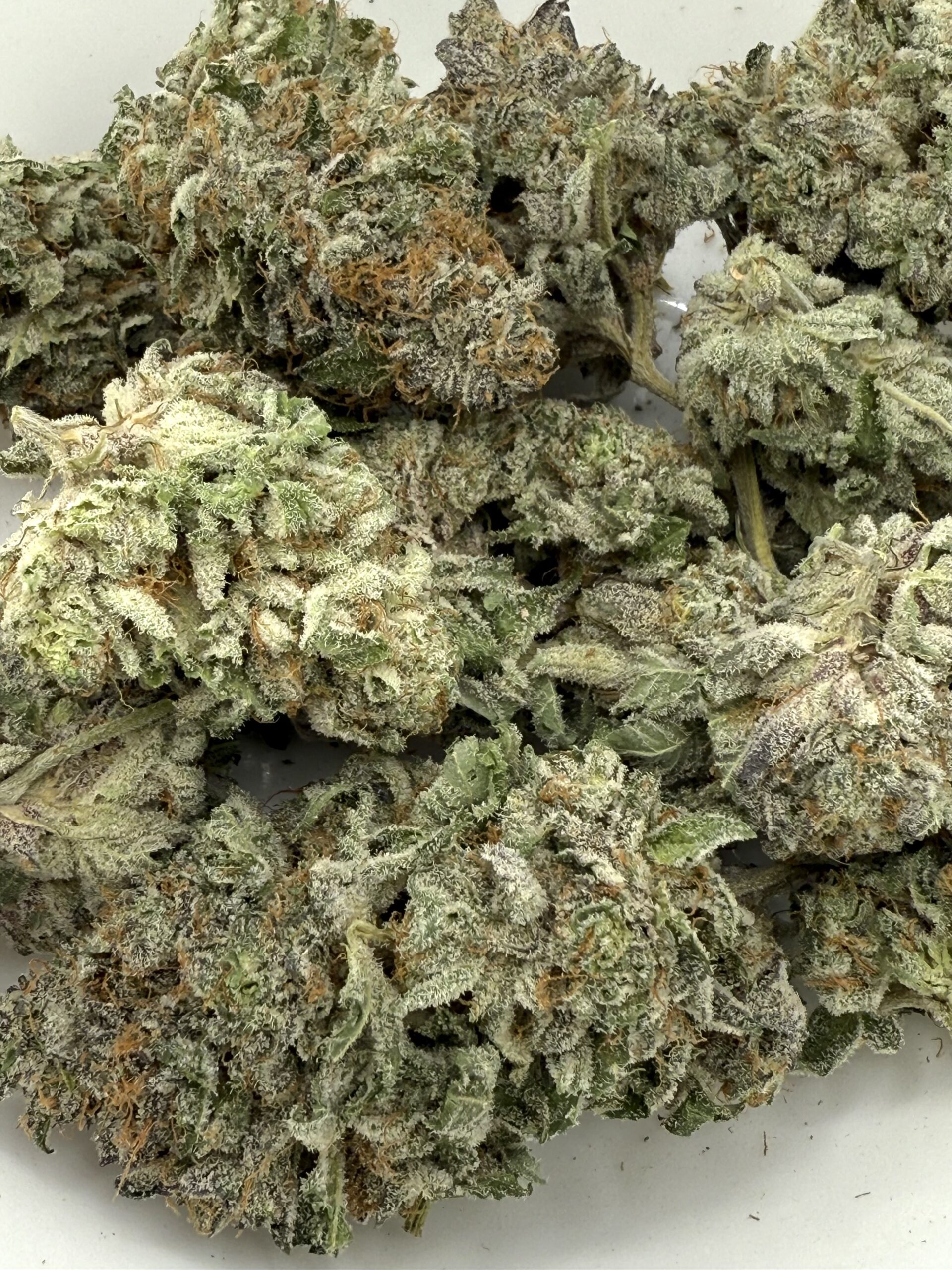 Skunk #1 | Flower - Image 2