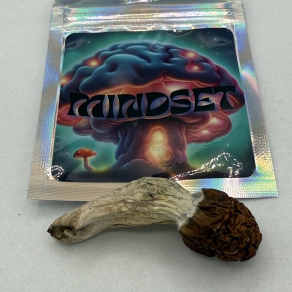 Mindset | Psilocybin mushroom | Blue Meanie 3.5G