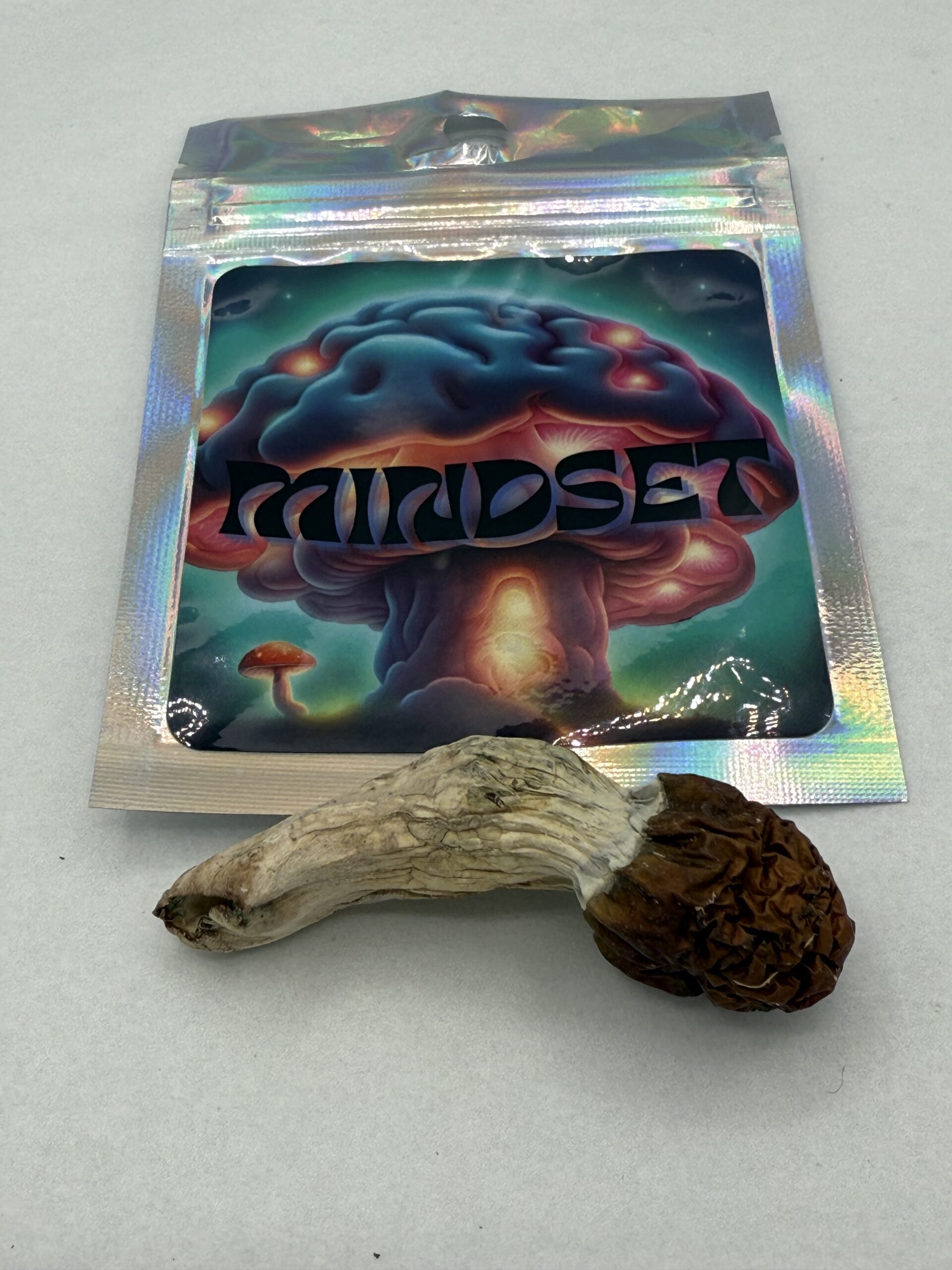 Mindset | Psilocybin mushroom | Blue Meanie 3.5G