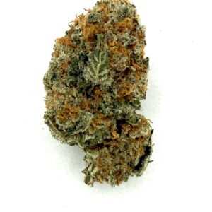 White Truffle | Flower