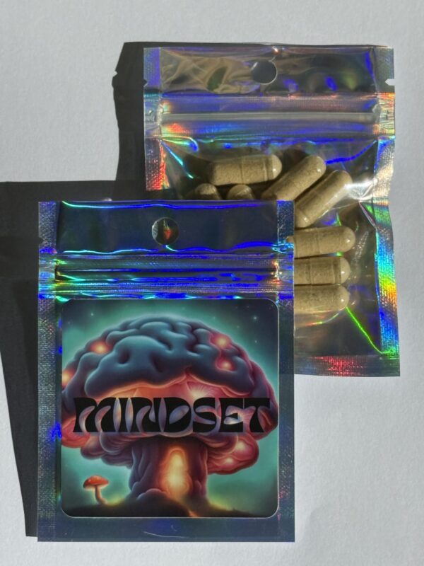 Mindset | Psilocybin Micro Dose | Golden Teachers + Lions Mane 200mg