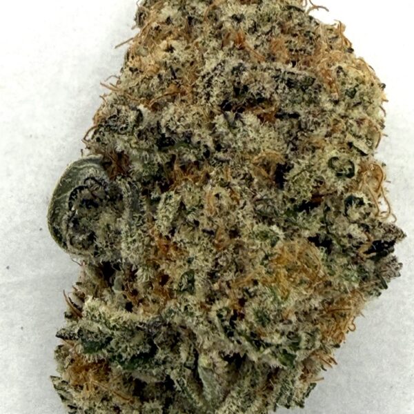 Champagne | Flower
