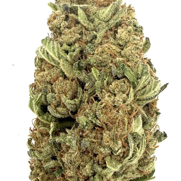 Gelato | Flower