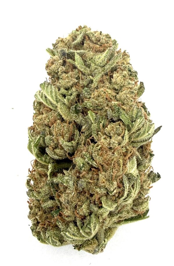 Gelato | Flower