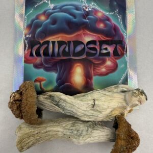 Mindset | Psilocybin mushroom | Makshak