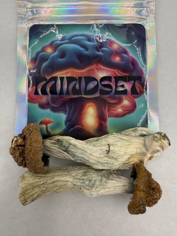 Mindset | Psilocybin mushroom | Makshak