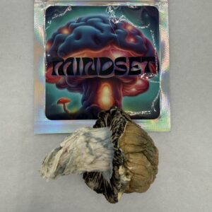 Mindset | Psilocybin mushroom | Bluey Vuitton