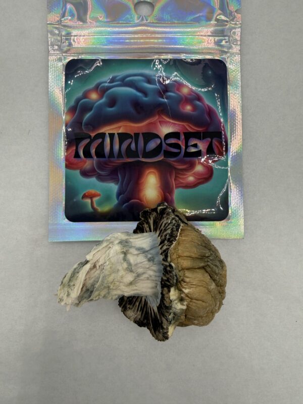 Mindset | Psilocybin mushroom | Penus Envy