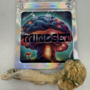Mindset | Psilocybin mushroom | Green Caps