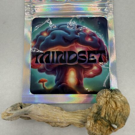 Mindset | Psilocybin mushroom | Green Caps