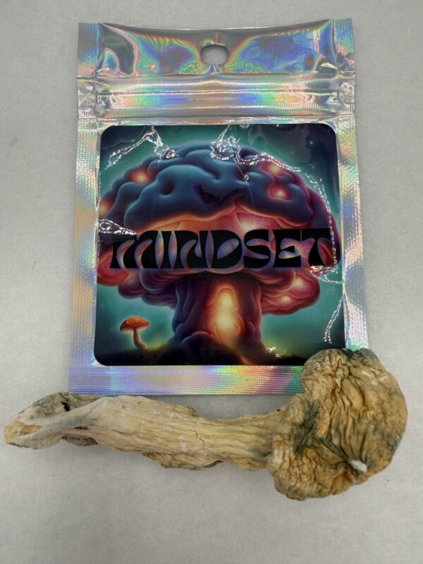Mindset | Psilocybin mushroom | Green Caps