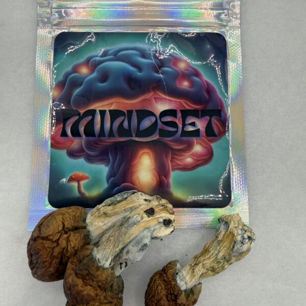 Mindset | Psilocybin mushroom | Blue Pulaski