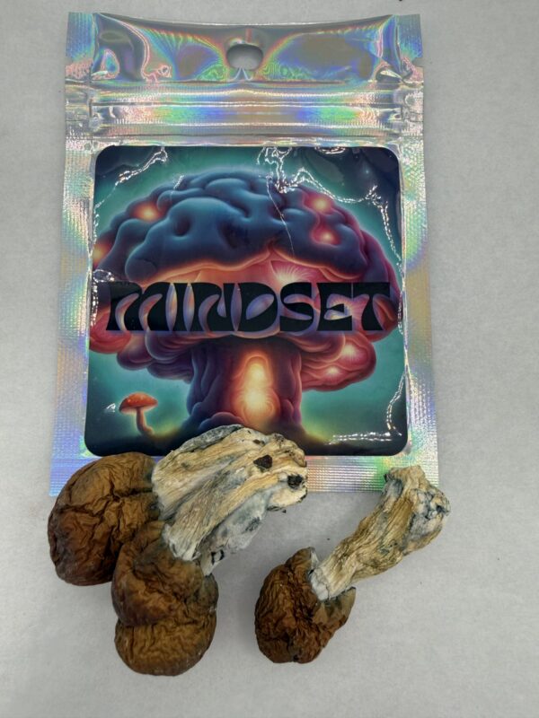 Mindset | Psilocybin mushroom | Blue Pulaski