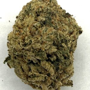 Rock Star | Flower
