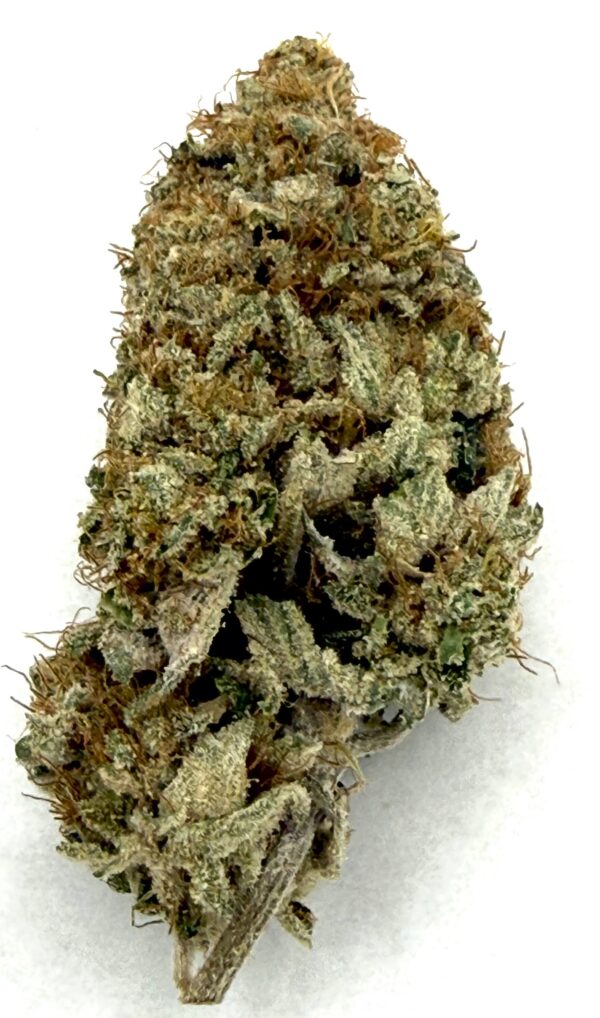 Purple Afghani | Flower