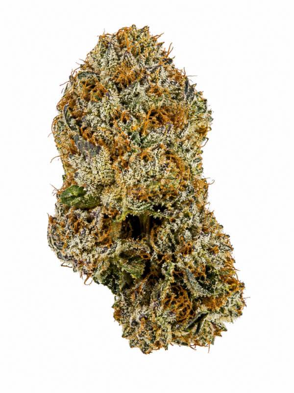 Burnt Sugar premium craft cannabis flower with dense resin-coated buds, bright orange pistils, and heavy trichome coverage on a white background.