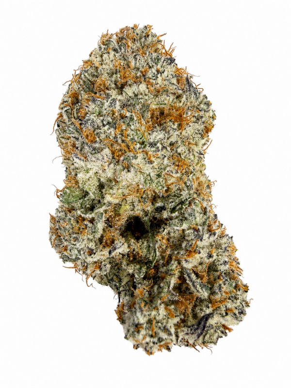 Burnt Sugar premium craft cannabis flower with dense resin-coated buds, bright orange pistils, and heavy trichome coverage on a white background.