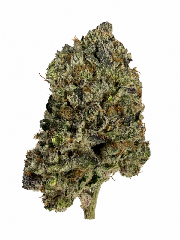 Blackberry Kush premium craft cannabis flower with dense frosty buds, purple hues, and bright orange pistils on a white background.